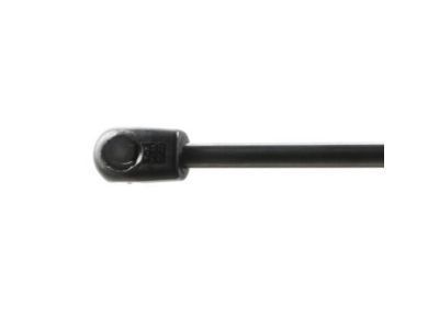 GM 25992461 Strut Assembly, Lift Gate