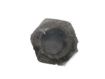 Chevy 11612283 Extension Nut