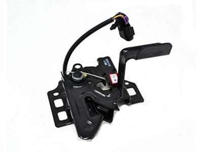 2013 Cadillac CTS Hood Latch - 20761110