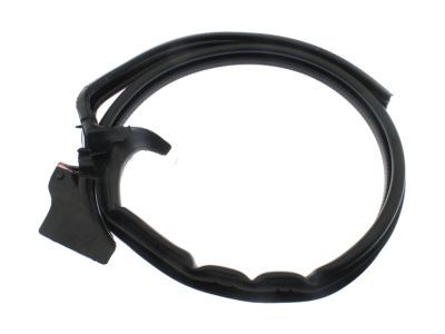 GM 15298668 Weatherstrip Assembly, Rear Side Door