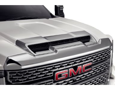 GM 84686275 Chrome Hood Induction