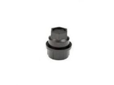 GMC 15646250 Cap