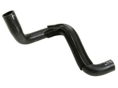 GMC 15977371 Lower Hose