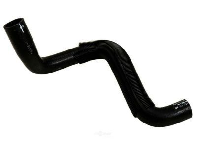 GMC 15977371 Lower Hose