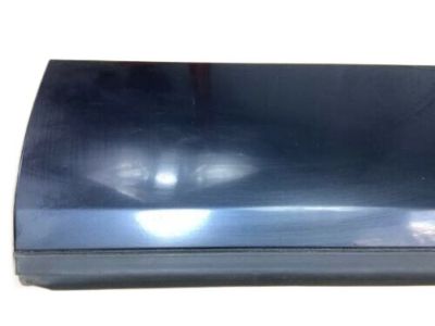 Buick 10265385 Body Side Molding