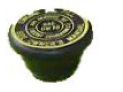 GM 10110858 Cap, Oil Filler