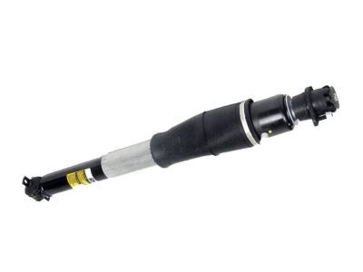 GMC 19368459 Shock Absorber