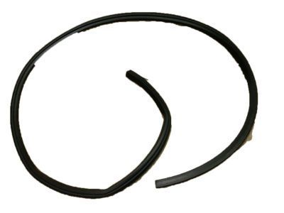 Chevy 15917732 WEATHERSTRIP,LIFT GATE WINDOW