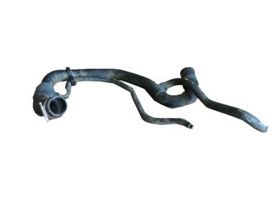 Chevy 25841843 Lower Hose