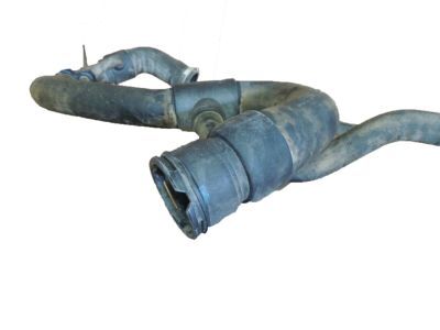 GMC 25841843 Lower Hose