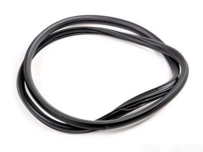 Saturn Door Seal - 22793750