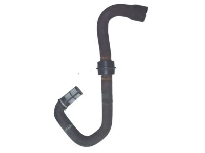 Cadillac 15783305 Hose