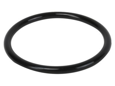 Chevy 94011702 Outlet Pipe Seal