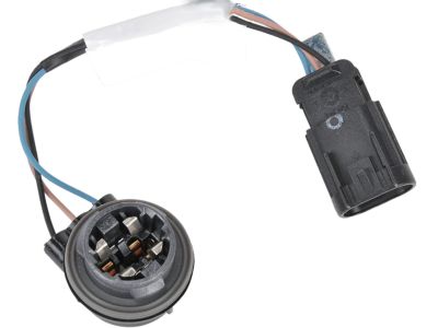 Chevy 15943290 Socket & Wire