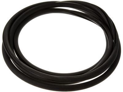 Chevy 15893292 Weatherstrip