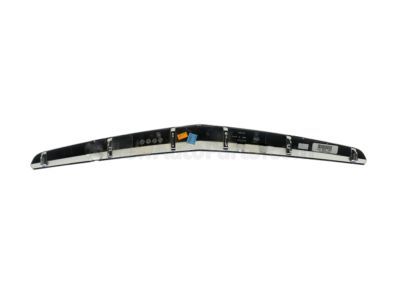 GM 20907953 Molding, Rear Bumper Fascia *Galvano Silvv