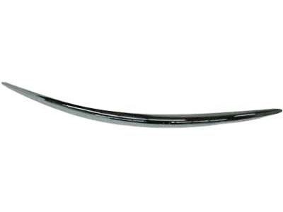 Buick 15276879 Rub Strip