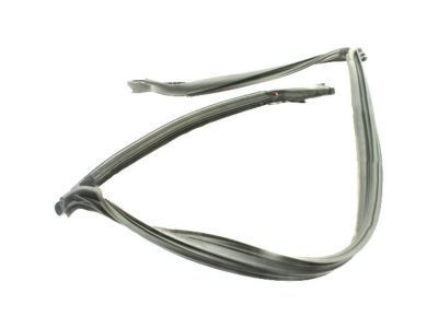 Chevy 84367842 Weatherstrip