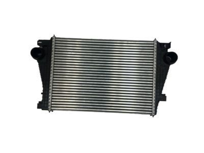 GM 22799480 Radiator Assembly, Charging Air Cooler