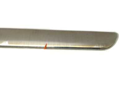 GMC 15176416 Molding