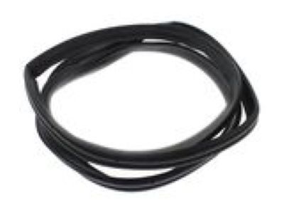 2008 Buick Lucerne Weather Strip - 25823550