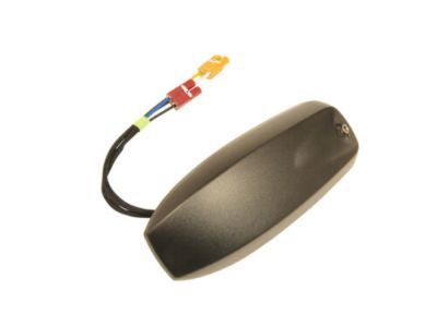 Chevy 23345325 Antenna