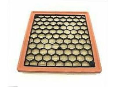 Buick Air Filter - 13319421