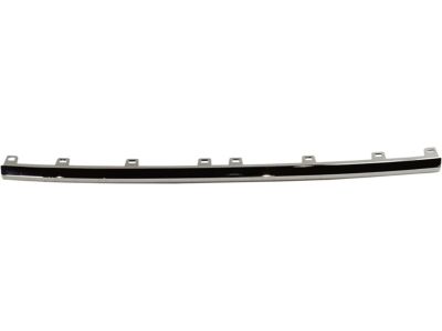 GMC 84255081 Lower Molding