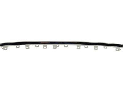 GMC 84255081 Lower Molding