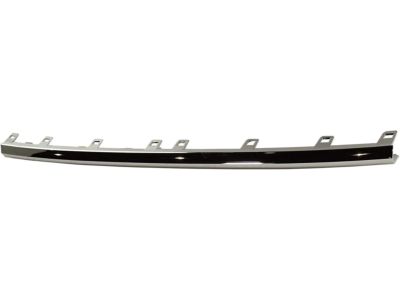 GMC 84255081 Lower Molding