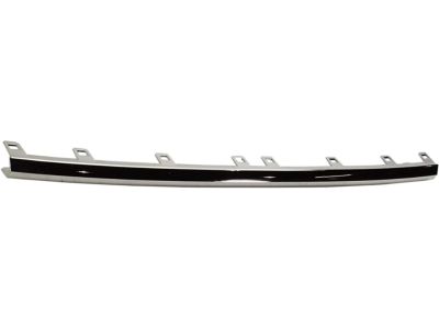 GMC 84255081 Lower Molding