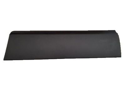 Chevy 95161597 Lower Molding