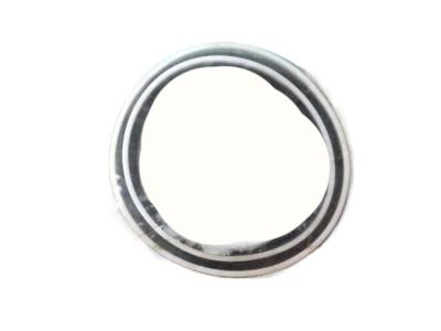 Buick 7817487 Rack Seal Kit