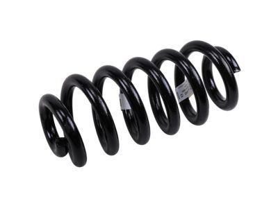 Buick 23104463 Coil Spring