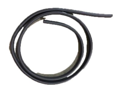 GMC 15169859 Weatherstrip