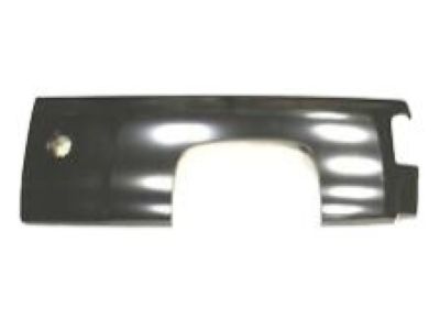 Chevy 25871811 Outer Panel