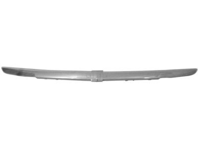 Chevy 25906306 Molding