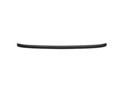 Chevy 22765886 Front Molding