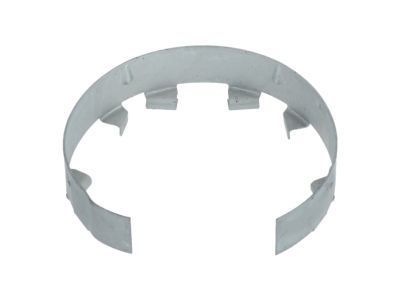 GMC 15769308 Access Cover Retainer