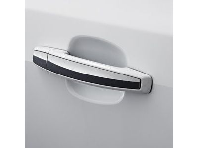 Chevy 20919351 HANDLE PKG,FRONT & REAR SIDE DOOR OUTSIDE(INCLUDES 2-6)(WHITE)(INSTALL 0.80)(0.4895 KGS)(W/CHROME STRIPE)