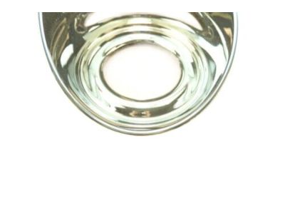 Buick 12335916 Fog Lamp Bezel