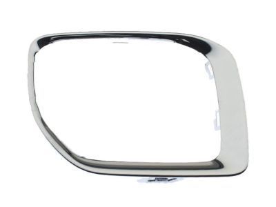 GM 84214463 Bezel, Front Fog Lamp *Exterior Brim