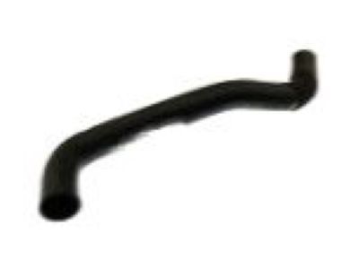 GMC 19258620 Upper Hose