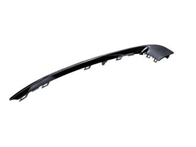 Buick 13238372 Molding