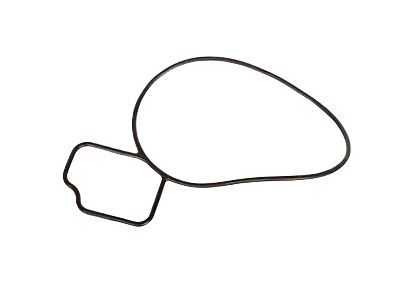 GMC 24439799 Water Pump Gasket