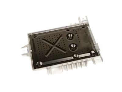 GM 20811235 Amplifier Assembly, Radio Speaker