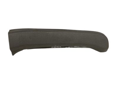 Chevy 25800485 Rear Trim