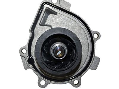 Chevy 25195119 Water Pump