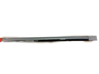 Cadillac 15876406 Body Side Molding