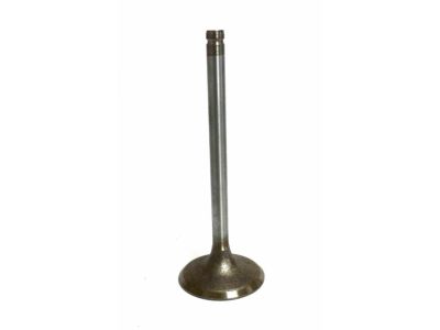 Chevy 10166341 Intake Valve